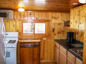Birch cabin at Cedar Point Resort kitchen