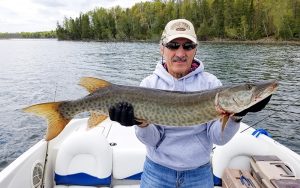 Muskie fishing is great on North Star lake when you stay at Cedar Point Resort